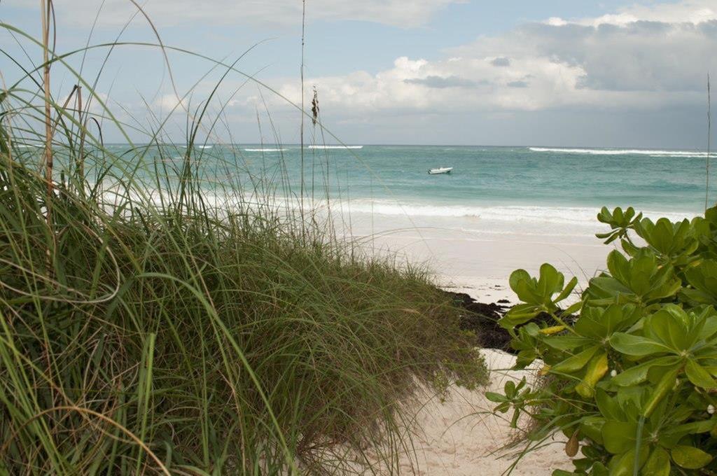 Villa Allamanda, Eleuthera Governors Harbour Exterior foto